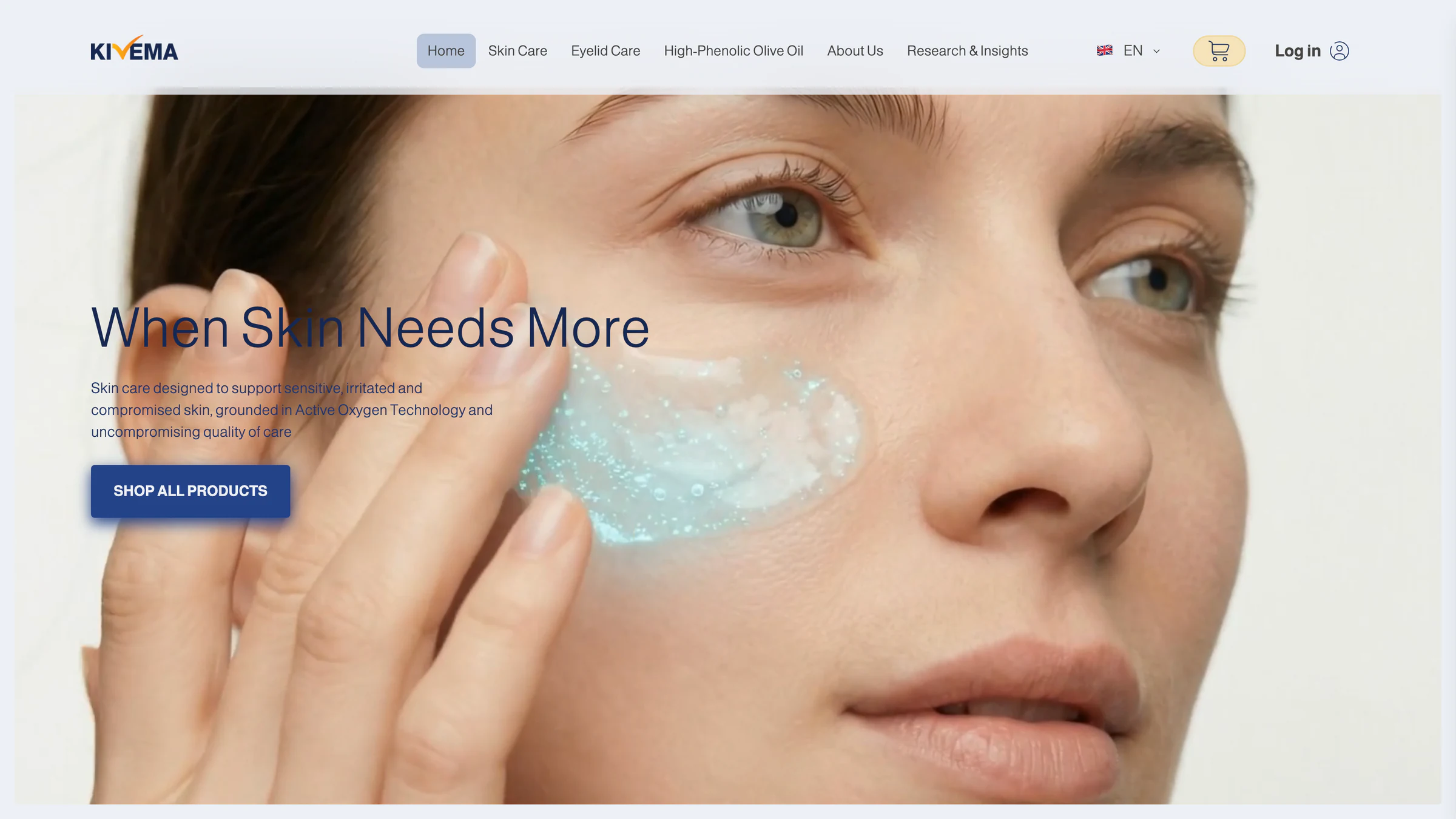 High-resolution selection of Web development work for Kivema LLC